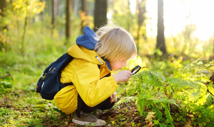 A boy using a magnifying glass in the woods.