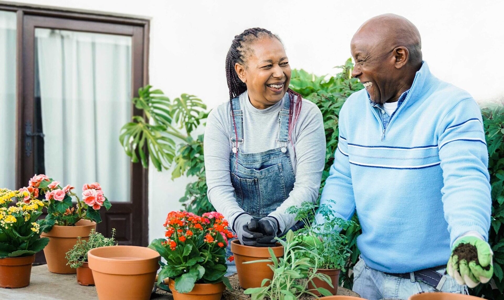 A couple potting plants together.